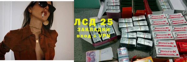 гидра Заводоуковск