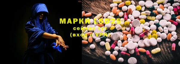 гидра Заводоуковск