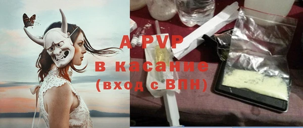гидра Заводоуковск