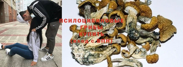 а пвп мука Заволжск