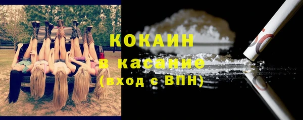 гидра Заводоуковск