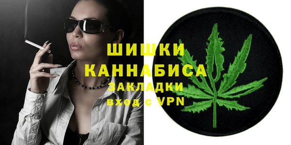 гидра Заводоуковск